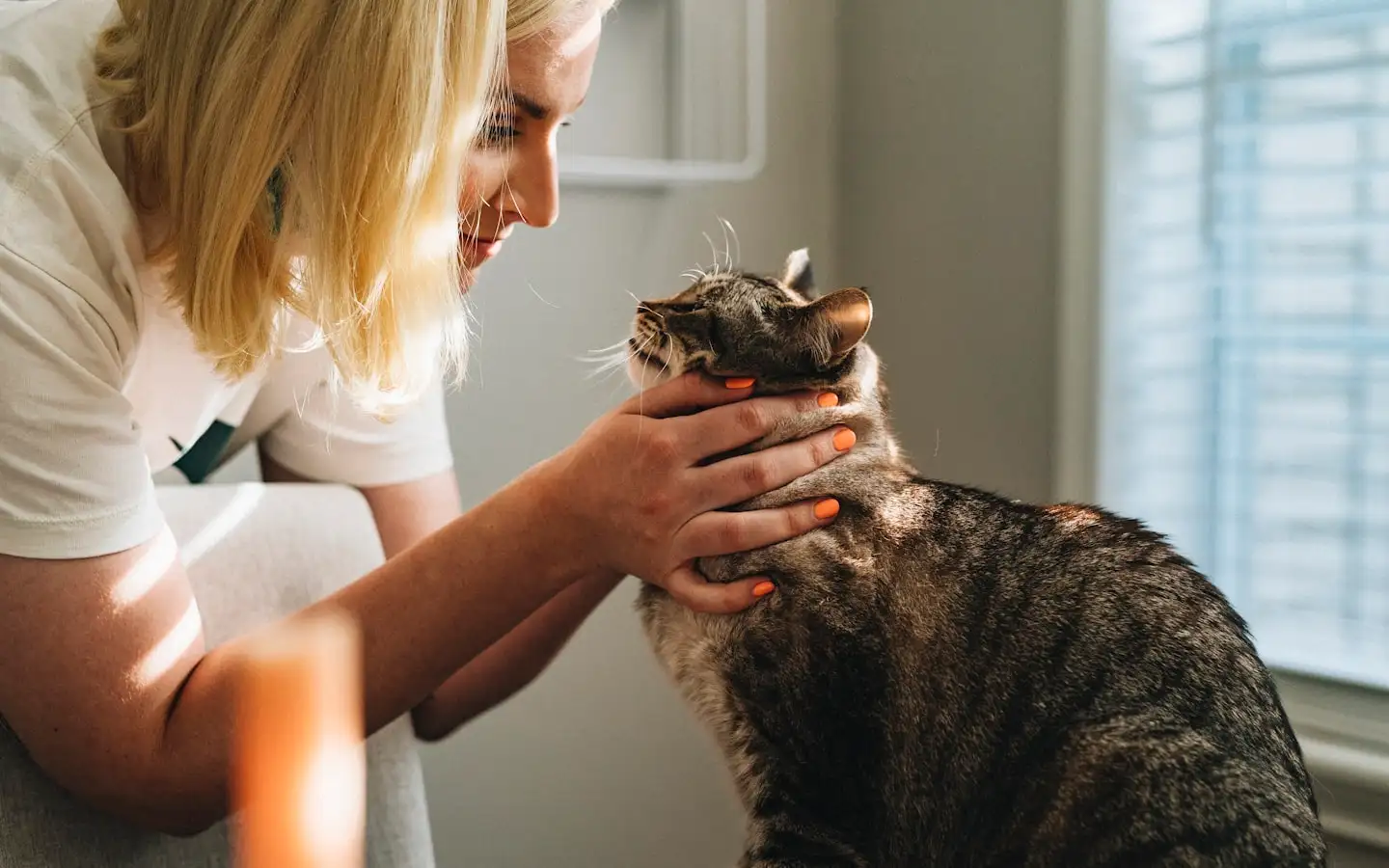 Webdesign Tierarztpraxis Wien - PFÖTCHEN von PIKSEL