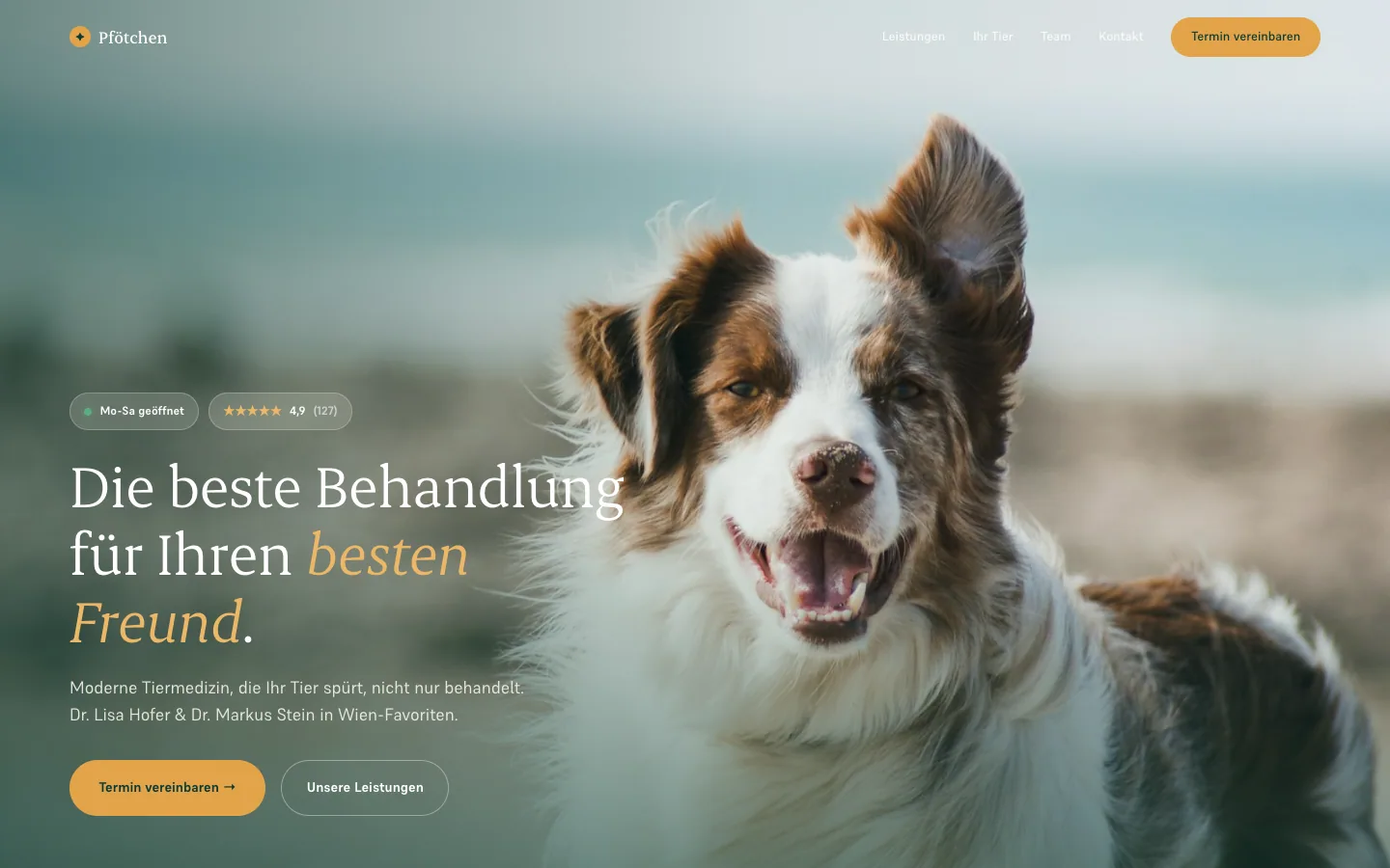 Webdesign Tierarztpraxis, PFÖTCHEN Demo-Website von PIKSEL